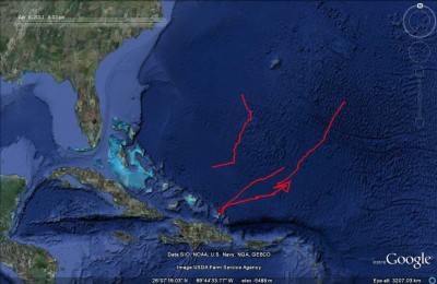 Humpback whale Satellite Tracking Results, Amy Kennedy, 2011