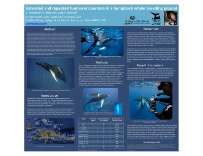 Humpback encounters in a breeding ground