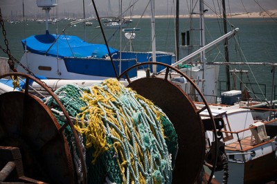 Fishing Lines