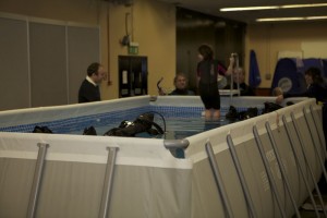 Try SCUBA at Whalefest 2012