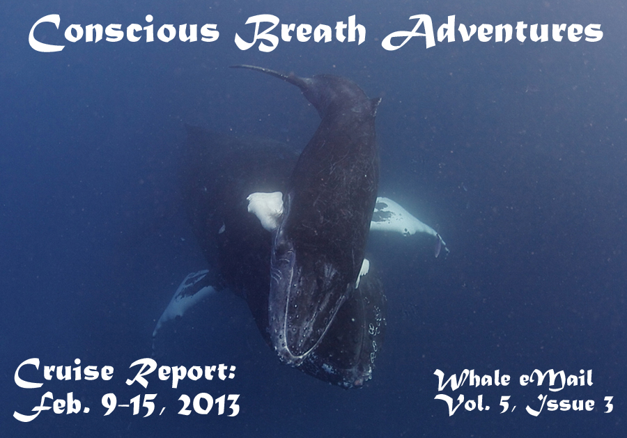 Conscious Breath Adventures Cruise Report: Feb. 9-15, 2013