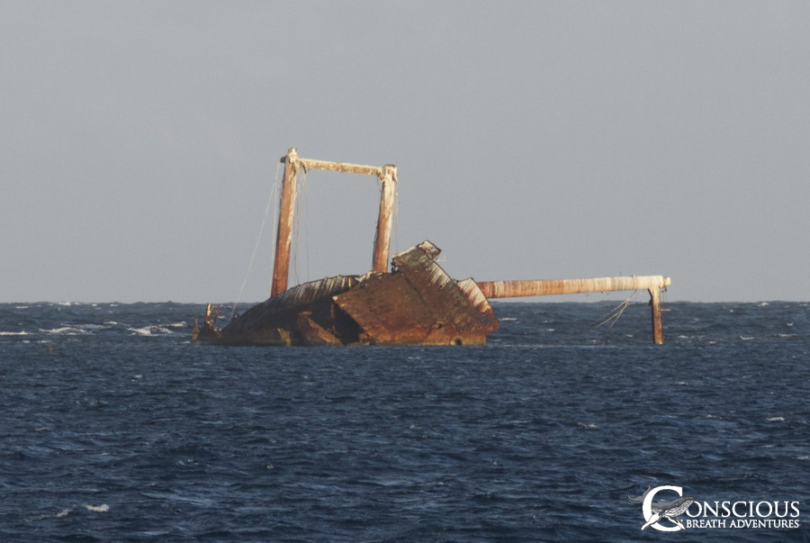 The Wreck of the Polyxeni 2013The Wreck of the Polyxeni 2013