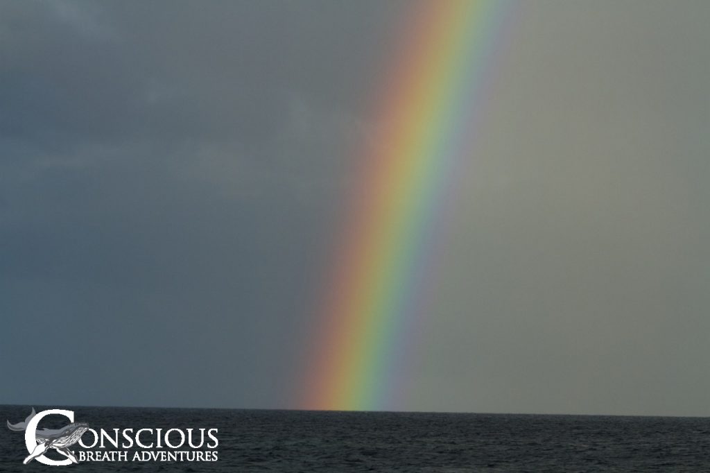 Vivid rainbow on the Silver Bank