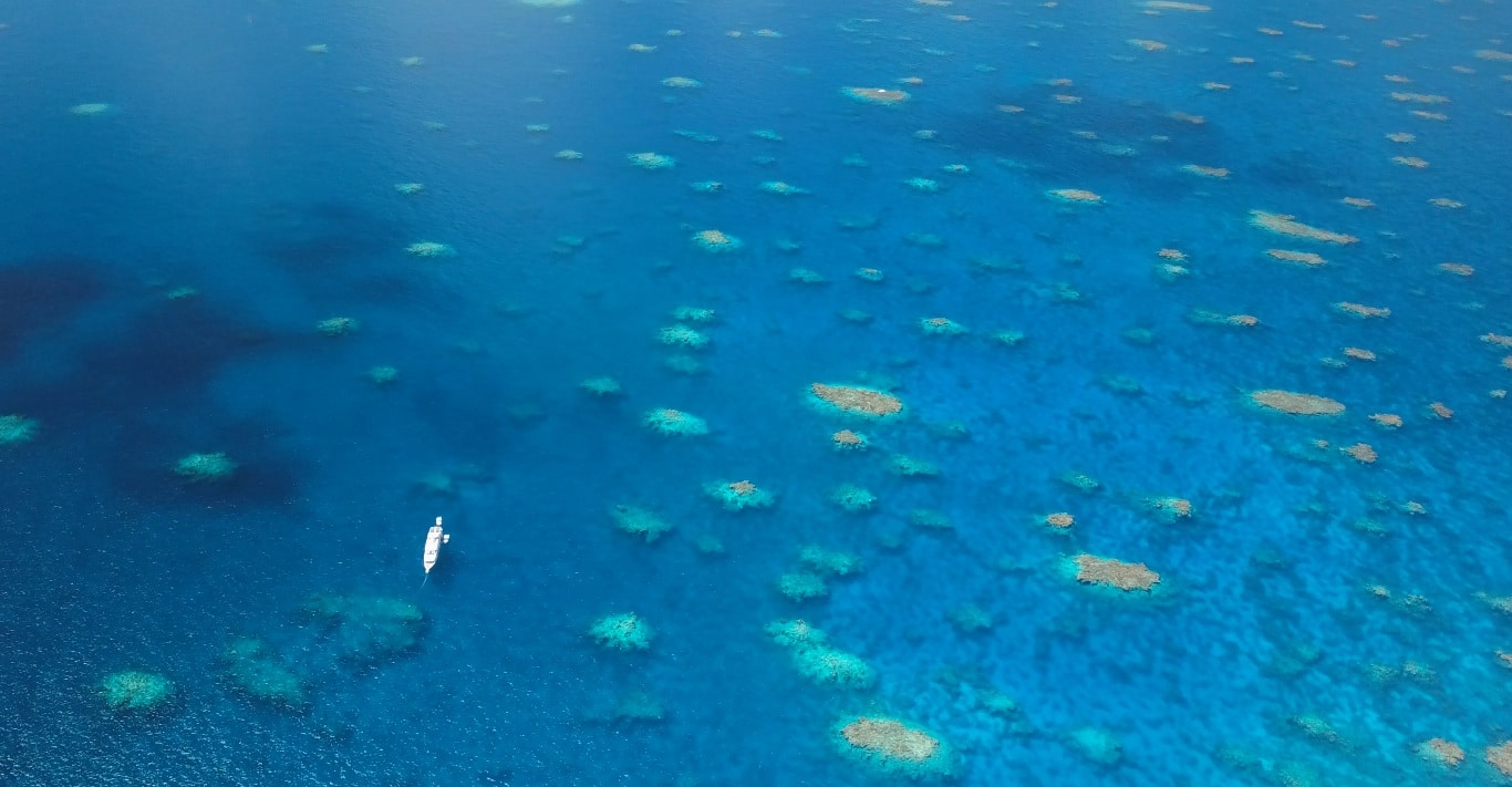 Swim with whales, Silver Bank Dominican Republic | Conscious Breath Adventures