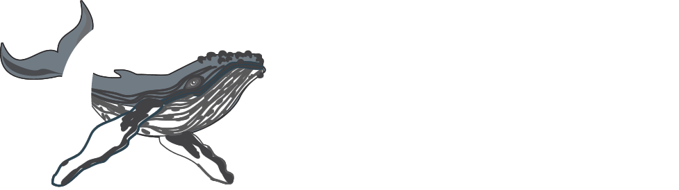conscious breath adventures logo