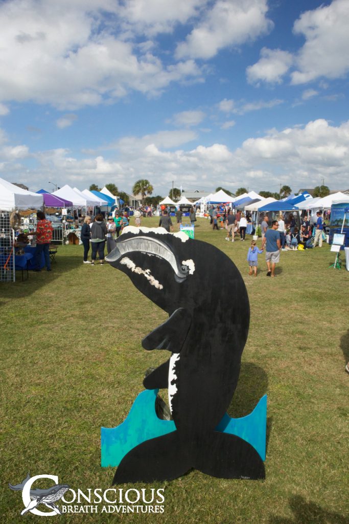 The Right Whale Festival