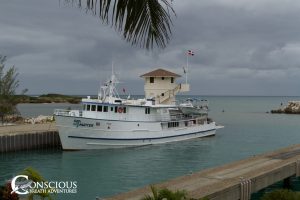 Sea Hunter Ocean World Marina
