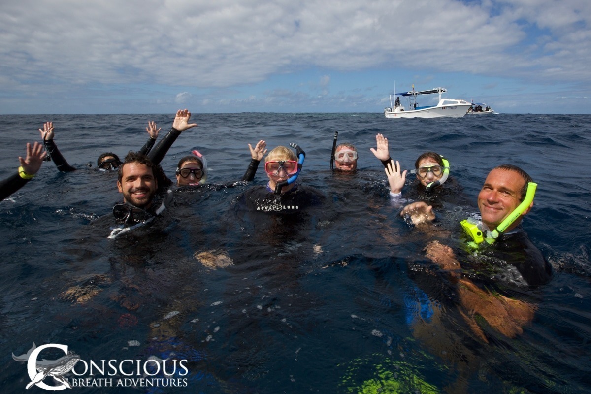 Swim with whales, Silver Bank Dominican Republic | Conscious Breath Adventures