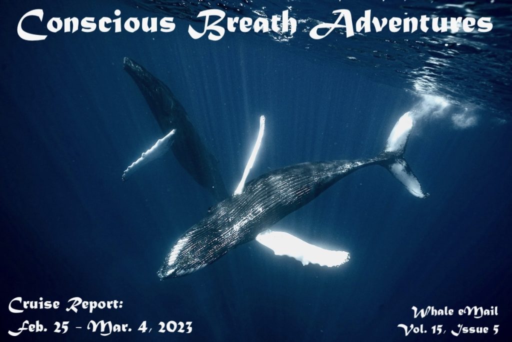 Conscious Breath Adventures' Cruise Report: Feb 25-Mar 4, 2023